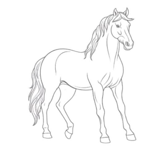 Coloring pages horses
