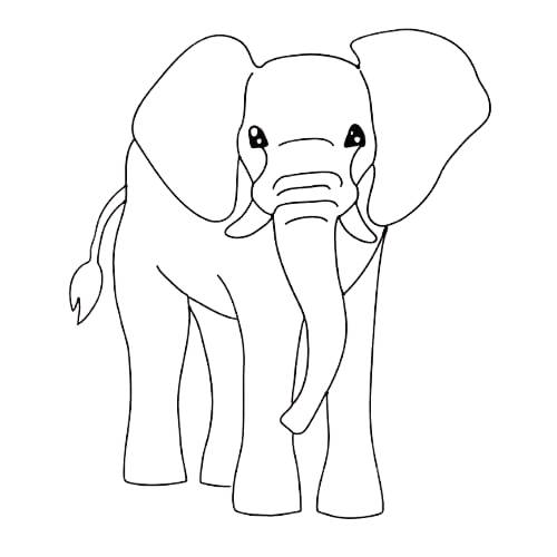 adult coloring elephant