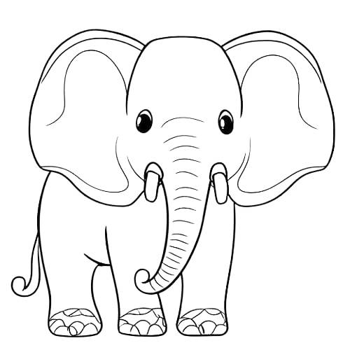 adult coloring page elephant