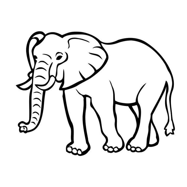 animal coloring book pages