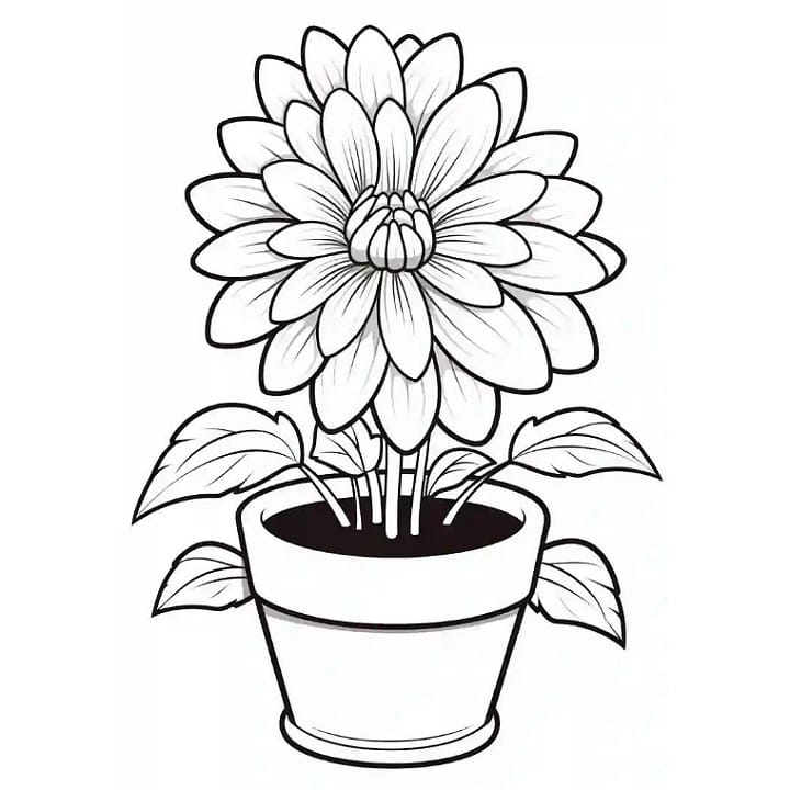 beautiful flower coloring pages intricate designs