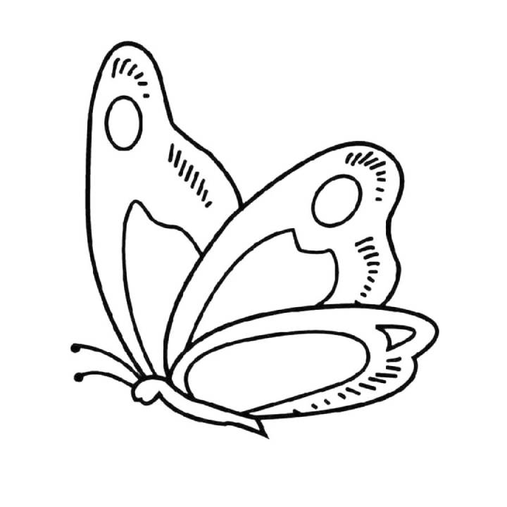 butterfly coloring pages to print