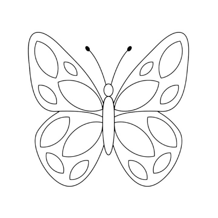 butterfly coloring printable