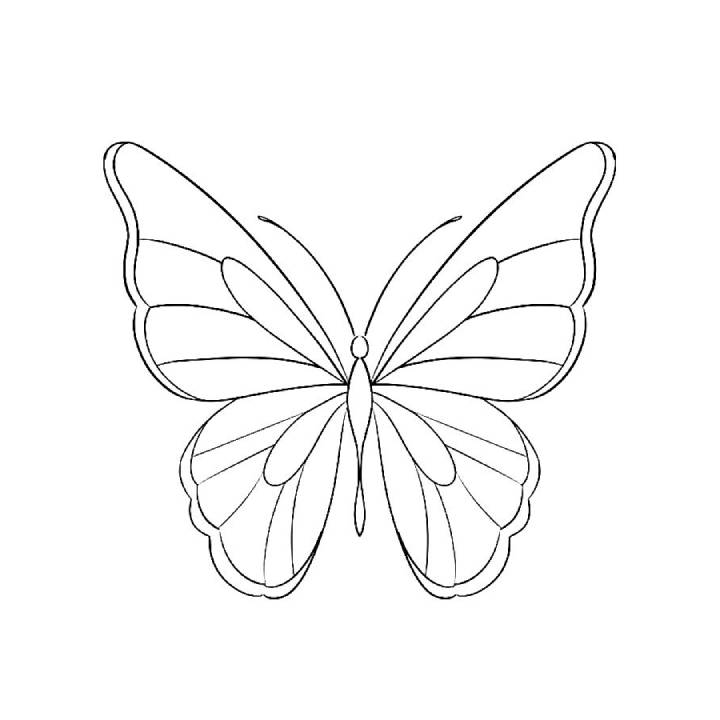 butterfly coloring sheet free