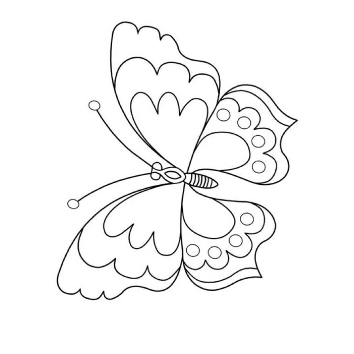 butterfly coloring sheets to print