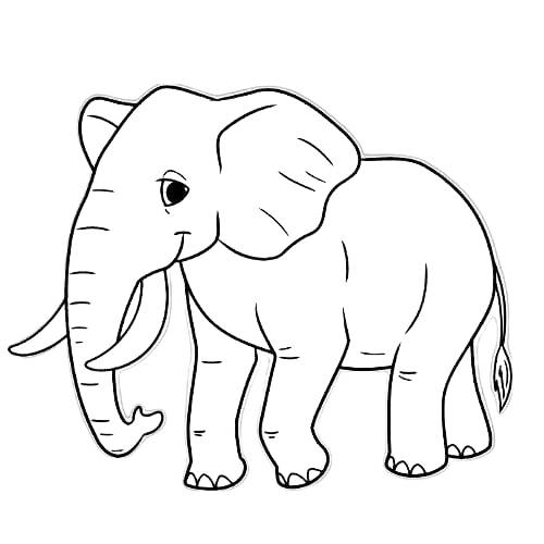Coloring pages elephant printable