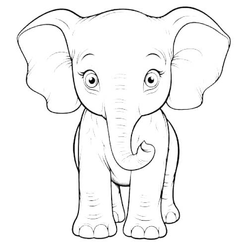 coloring sheet elephant