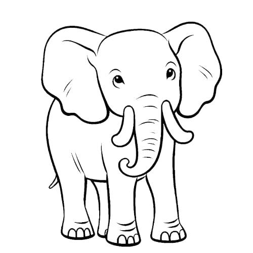 elephant coloring book page