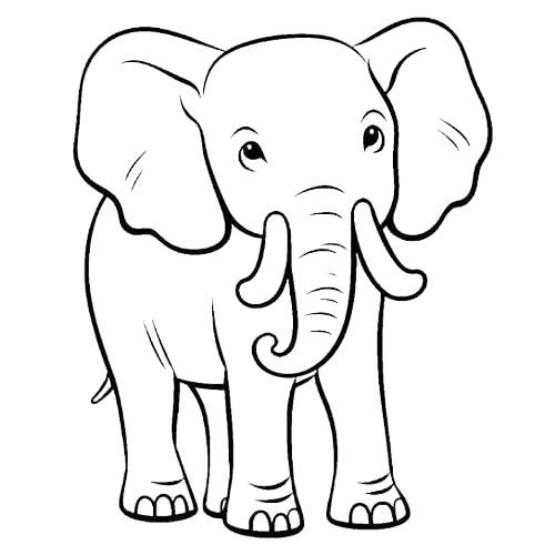 Elephant coloring drawing