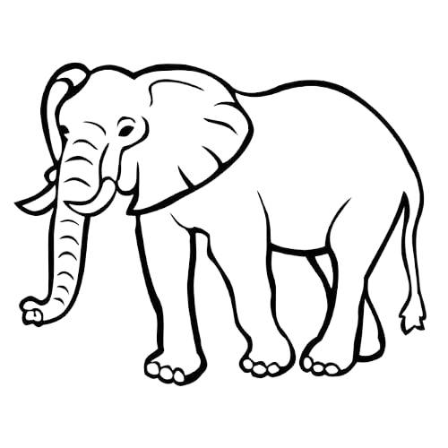 elephant coloring pages printable
