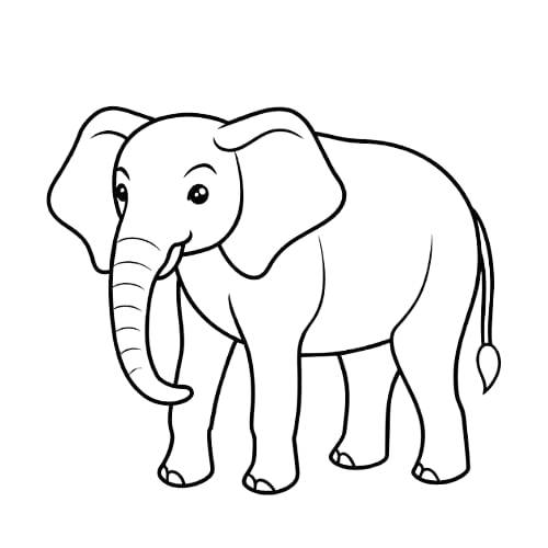 Elephant coloring pictures printable