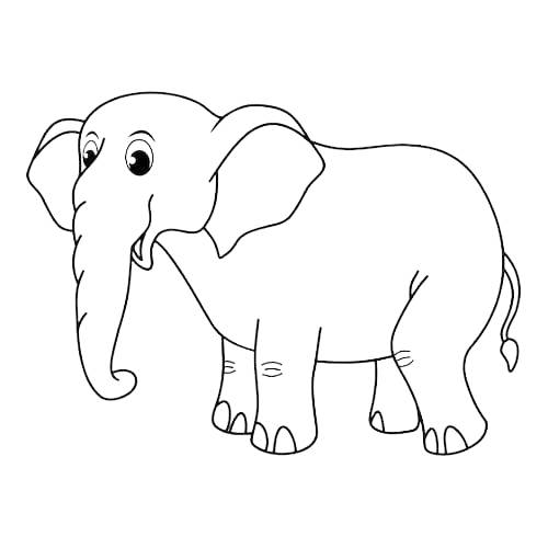 elephant pictures to print free