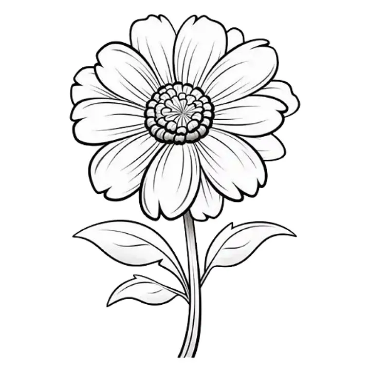 flower coloring images