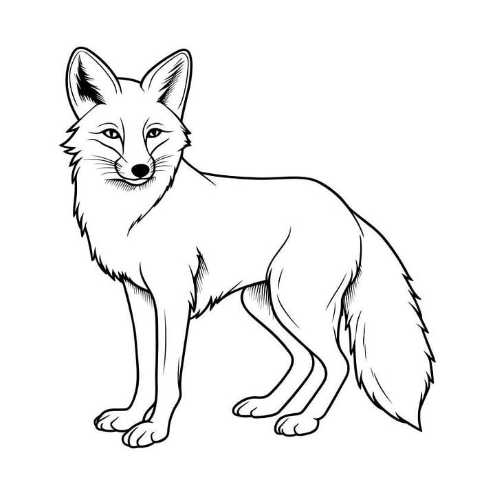 fox coloring pages easy